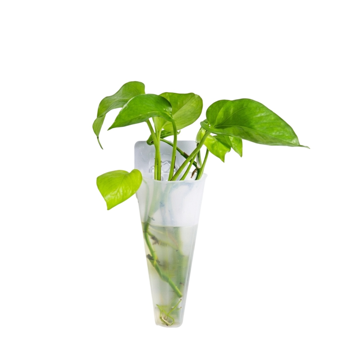 Transparent Mini Vertical Wall-mounted Flower Pot 1 Pc Indoor & Outdoor Plastic Garden Flower Pot Decorative Planter Flower