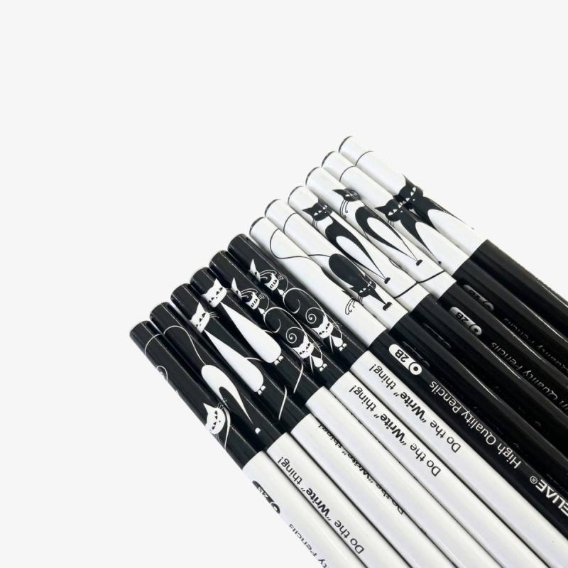 Acmeliae High Quality Pencils 2B 12 Pcs