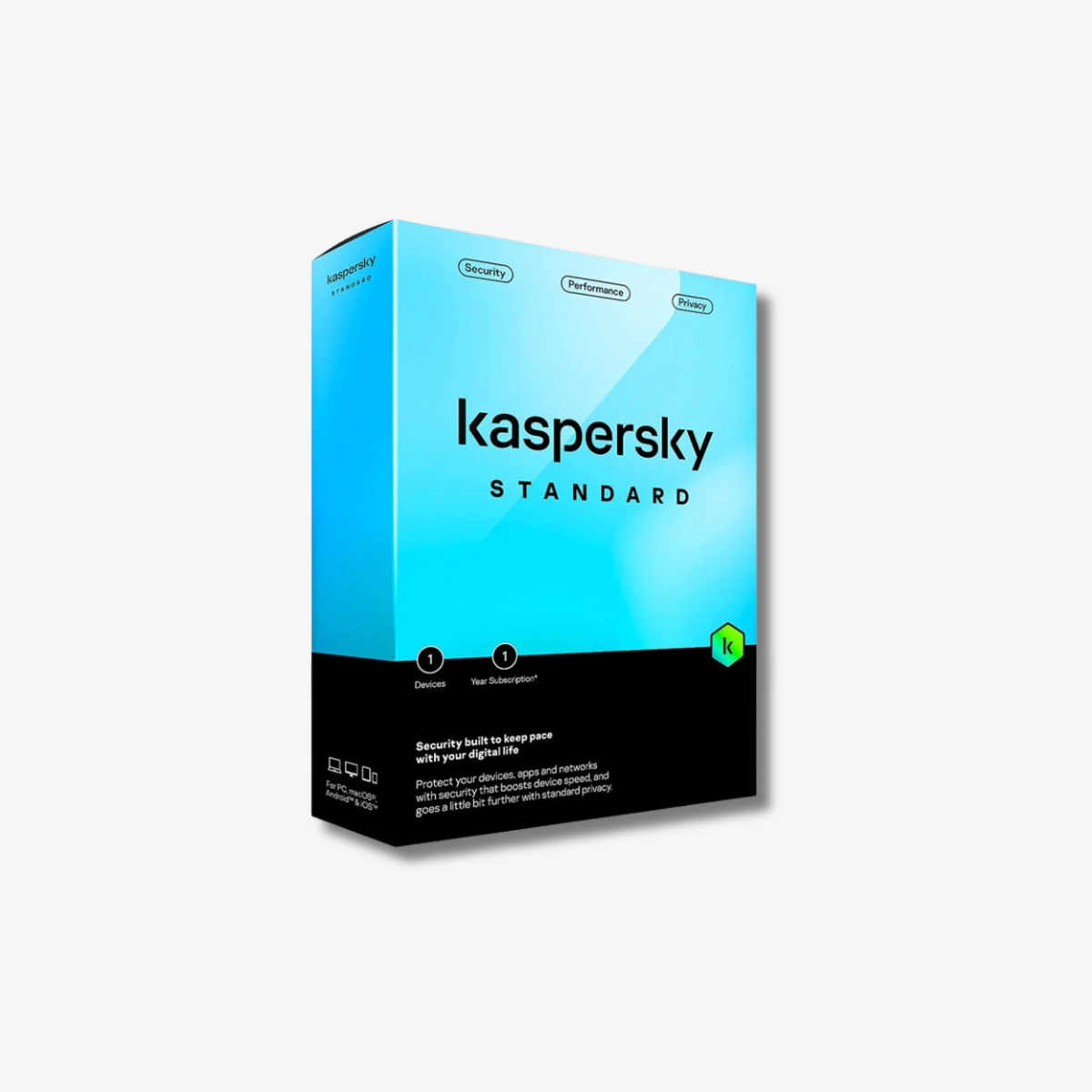 Kaspersky Standard 1 User 1 Year